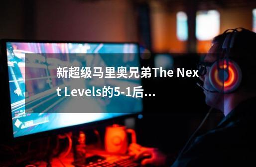 新超级马里奥兄弟The Next Levels的5-1后面的打食人花(准确地说是打地鼠)环节怎么过-第1张-游戏信息-龙启网