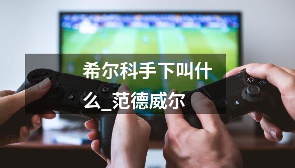 希尔科手下叫什么_范德威尔-第1张-游戏信息-龙启网