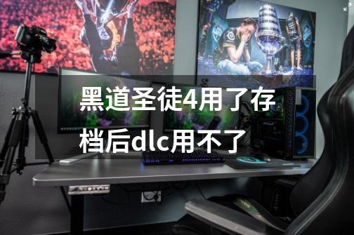 黑道圣徒4用了存档后dlc用不了-第1张-游戏信息-龙启网