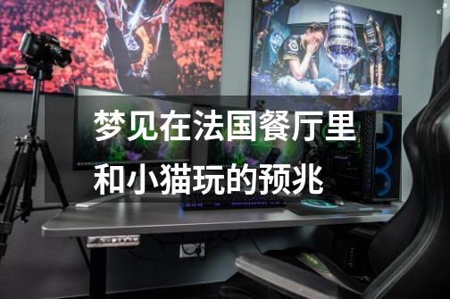 梦见在法国餐厅里和小猫玩的预兆-第1张-游戏信息-龙启网