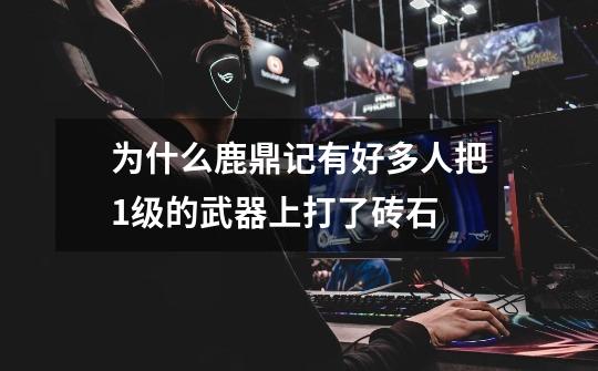 为什么鹿鼎记有好多人把1级的武器上打了砖石-第1张-游戏信息-龙启网