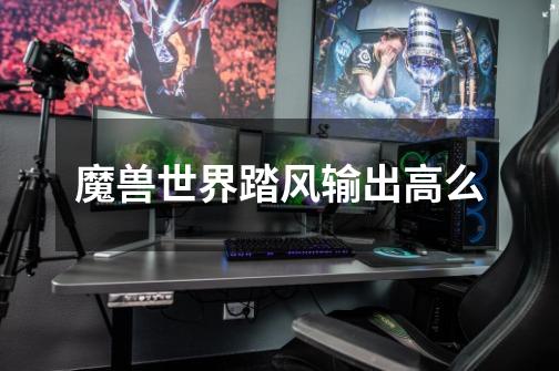魔兽世界踏风输出高么-第1张-游戏信息-龙启网