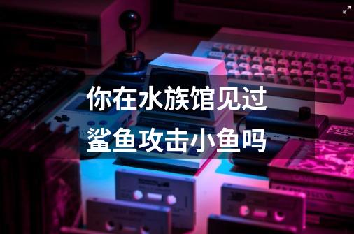 你在水族馆见过鲨鱼攻击小鱼吗-第1张-游戏信息-龙启网