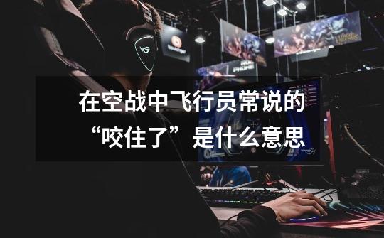 在空战中飞行员常说的“咬住了”是什么意思-第1张-游戏信息-龙启网