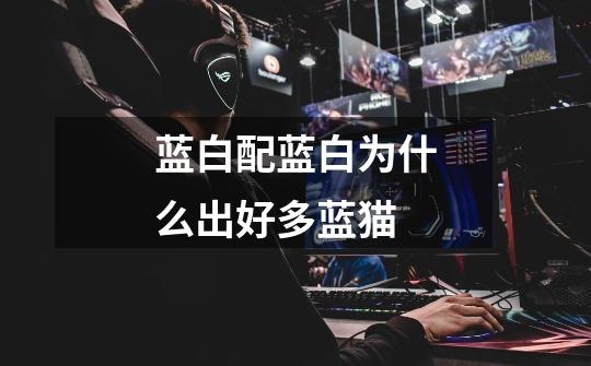 蓝白配蓝白为什么出好多蓝猫-第1张-游戏信息-龙启网