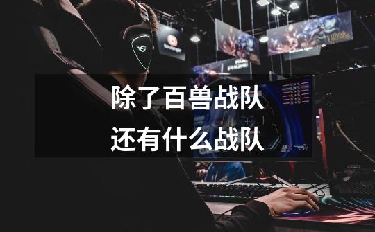 除了百兽战队还有什么战队-第1张-游戏信息-龙启网