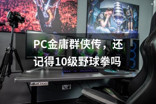 PC金庸群侠传,还记得10级野球拳吗-第1张-游戏信息-龙启网