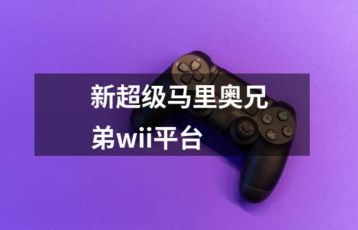 新超级马里奥兄弟wii平台-第1张-游戏信息-龙启网