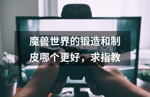 魔兽世界的锻造和制皮哪个更好,求指教-第1张-游戏信息-龙启网