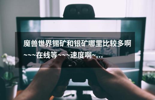 魔兽世界锡矿和银矿哪里比较多啊~~~在线等~~~速度啊~~-第1张-游戏信息-龙启网