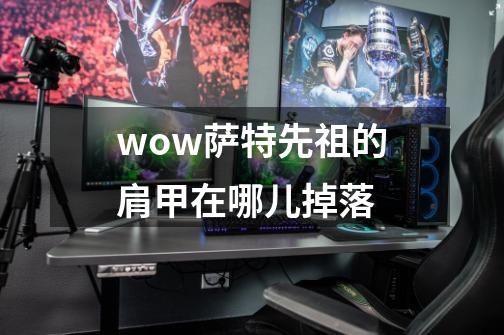 wow萨特先祖的肩甲在哪儿掉落-第1张-游戏信息-龙启网