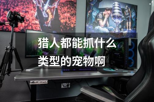 猎人都能抓什么类型的宠物啊-第1张-游戏信息-龙启网