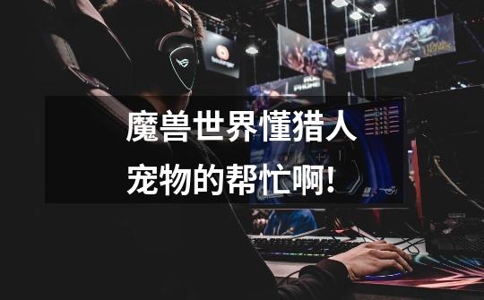魔兽世界懂猎人宠物的帮忙啊!-第1张-游戏信息-龙启网