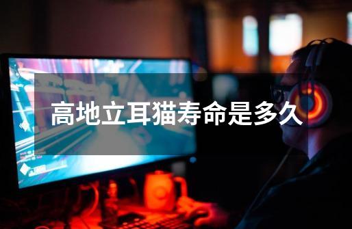 高地立耳猫寿命是多久-第1张-游戏信息-龙启网