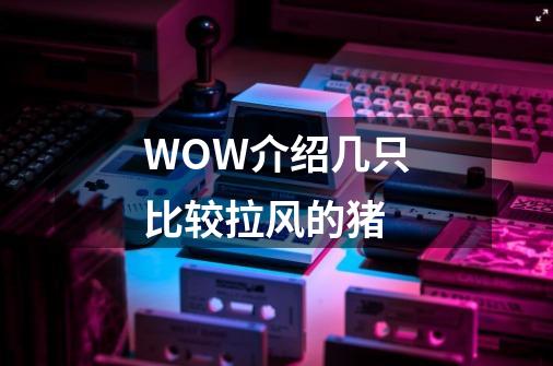 WOW介绍几只比较拉风的猪-第1张-游戏信息-龙启网