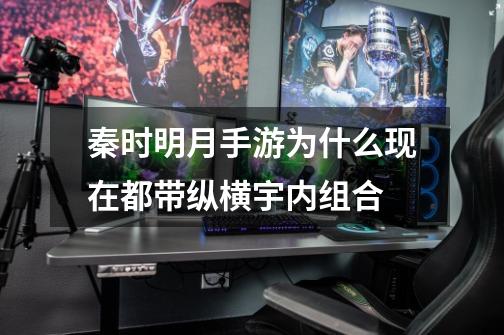 秦时明月手游为什么现在都带纵横宇内组合-第1张-游戏信息-龙启网