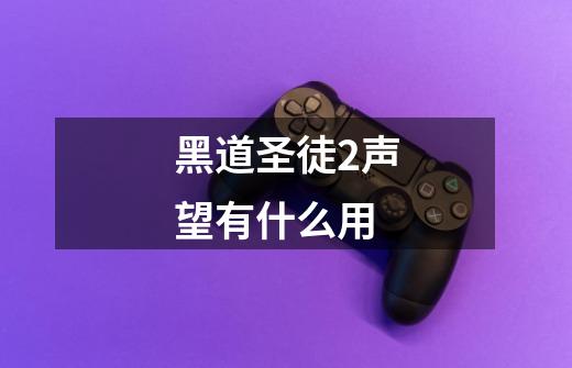 黑道圣徒2声望有什么用-第1张-游戏信息-龙启网