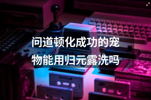 问道顿化成功的宠物能用归元露洗吗-第1张-游戏信息-龙启网