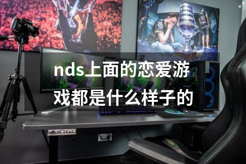 nds上面的恋爱游戏都是什么样子的-第1张-游戏信息-龙启网