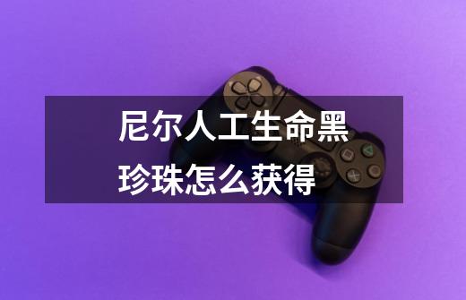 尼尔人工生命黑珍珠怎么获得-第1张-游戏信息-龙启网
