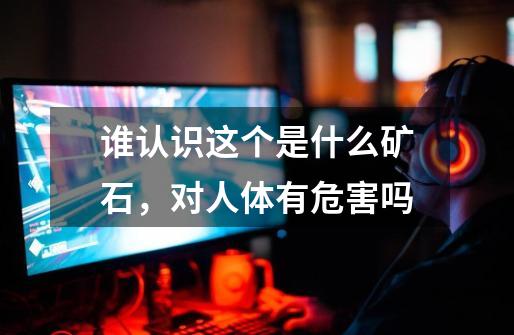谁认识这个是什么矿石,对人体有危害吗-第1张-游戏信息-龙启网