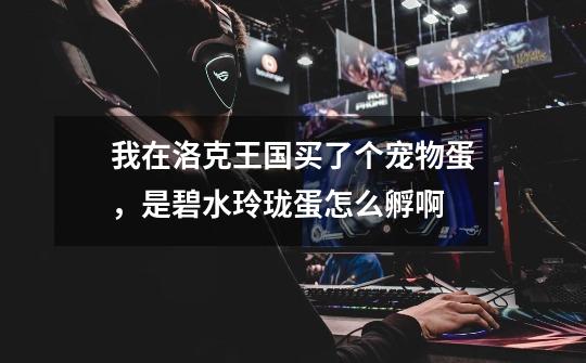 我在洛克王国买了个宠物蛋，是碧水玲珑蛋怎么孵啊-第1张-游戏信息-龙启网