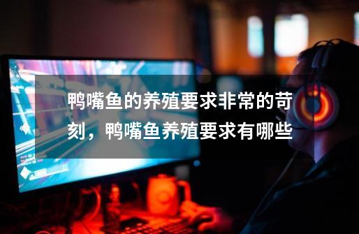鸭嘴鱼的养殖要求非常的苛刻,鸭嘴鱼养殖要求有哪些-第1张-游戏信息-龙启网