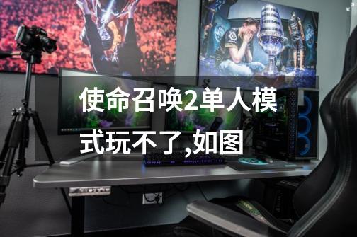 使命召唤2单人模式玩不了,如图..-第1张-游戏信息-龙启网