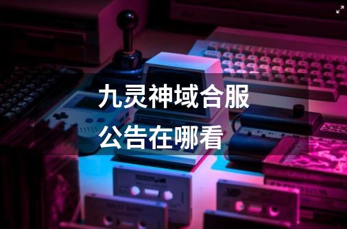 九灵神域合服公告在哪看-第1张-游戏信息-龙启网