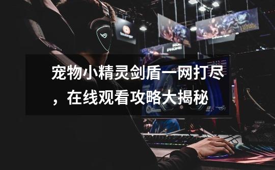 宠物小精灵剑盾一网打尽,在线观看攻略大揭秘-第1张-游戏信息-龙启网