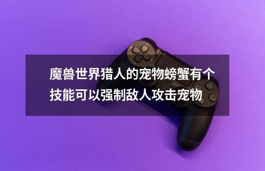 魔兽世界猎人的宠物螃蟹有个技能可以强制敌人攻击宠物-第1张-游戏信息-龙启网