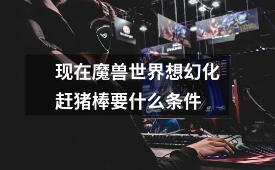 现在魔兽世界想幻化赶猪棒要什么条件-第1张-游戏信息-龙启网