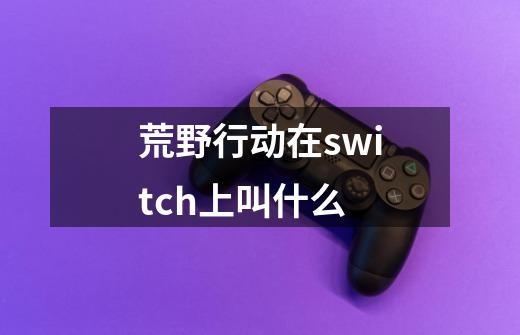 荒野行动在switch上叫什么-第1张-游戏信息-龙启网
