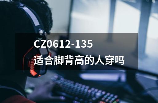 CZ0612-135适合脚背高的人穿吗-第1张-游戏信息-龙启网