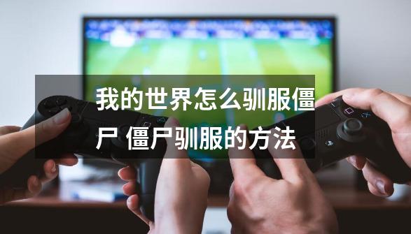 我的世界怎么驯服僵尸 僵尸驯服的方法-第1张-游戏信息-龙启网