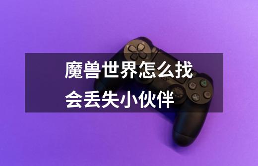 魔兽世界怎么找会丢失小伙伴-第1张-游戏信息-龙启网