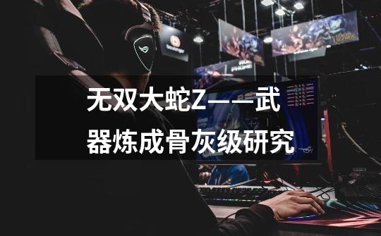无双大蛇Z——武器炼成骨灰级研究-第1张-游戏信息-龙启网