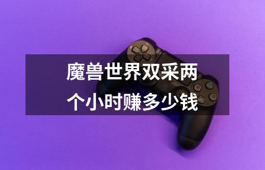 魔兽世界双采两个小时赚多少钱-第1张-游戏信息-龙启网