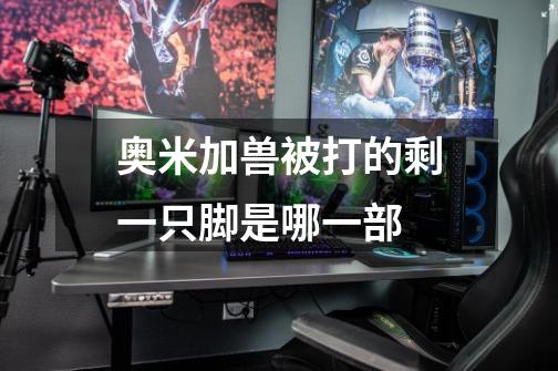 奥米加兽被打的剩一只脚是哪一部-第1张-游戏信息-龙启网