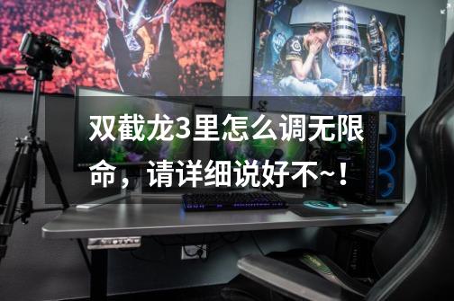 双截龙3里怎么调无限命,请详细说好不~!-第1张-游戏信息-龙启网