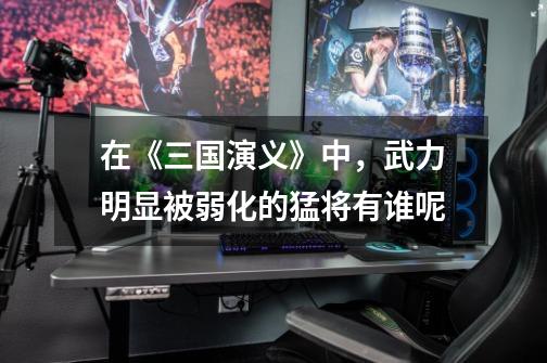 在《三国演义》中,武力明显被弱化的猛将有谁呢-第1张-游戏信息-龙启网