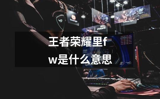 王者荣耀里fw是什么意思-第1张-游戏信息-龙启网