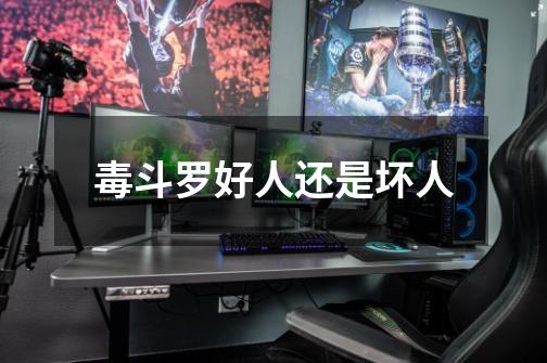 毒斗罗好人还是坏人-第1张-游戏信息-龙启网