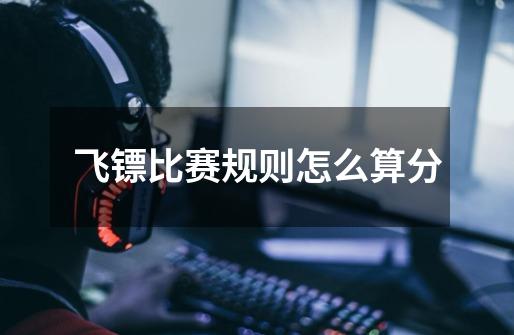 飞镖比赛规则怎么算分-第1张-游戏信息-龙启网