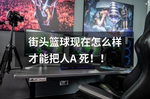 街头篮球现在怎么样才能把人A 死!!-第1张-游戏信息-龙启网