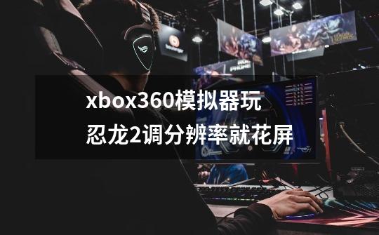 xbox360模拟器玩忍龙2调分辨率就花屏-第1张-游戏信息-龙启网