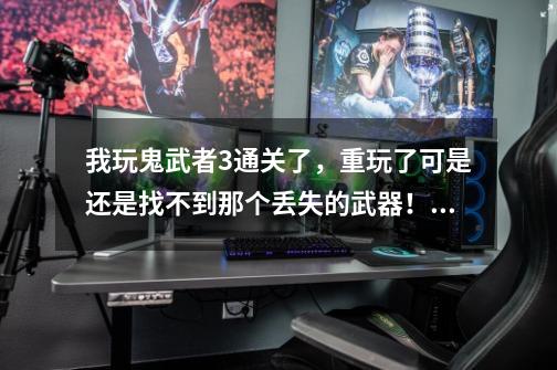 我玩鬼武者3通关了,重玩了可是还是找不到那个丢失的武器!希望大家能指教啊!-第1张-游戏信息-龙启网