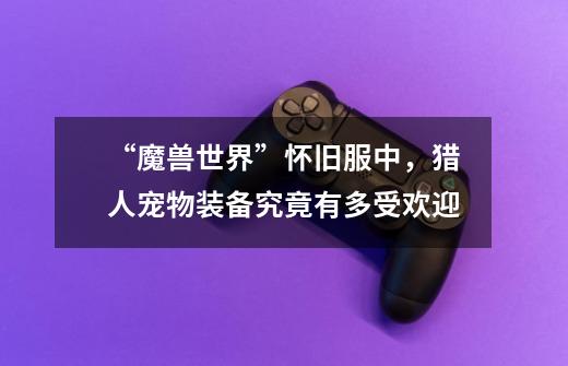“魔兽世界”怀旧服中,猎人宠物装备究竟有多受欢迎-第1张-游戏信息-龙启网