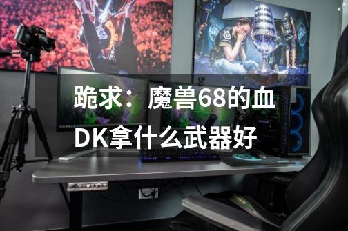跪求：魔兽68的血DK拿什么武器好-第1张-游戏信息-龙启网