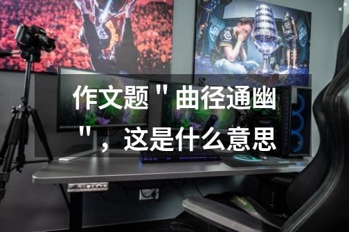 作文题"曲径通幽",这是什么意思-第1张-游戏信息-龙启网
